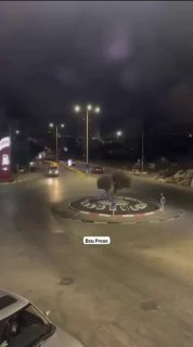 רשת חדשות ירושלים