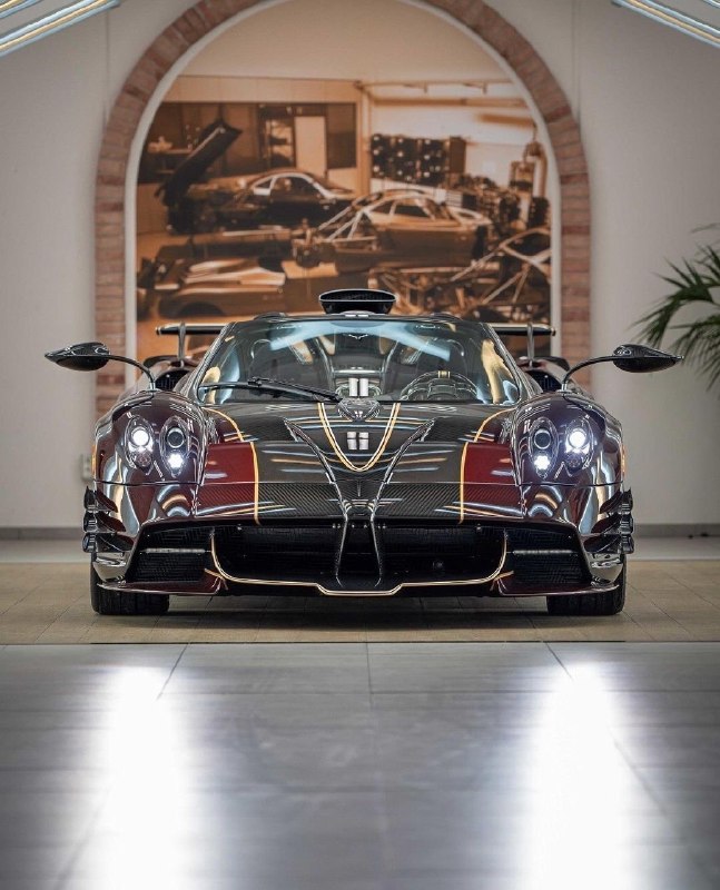 Pagani Huayra Dinamica EVO!