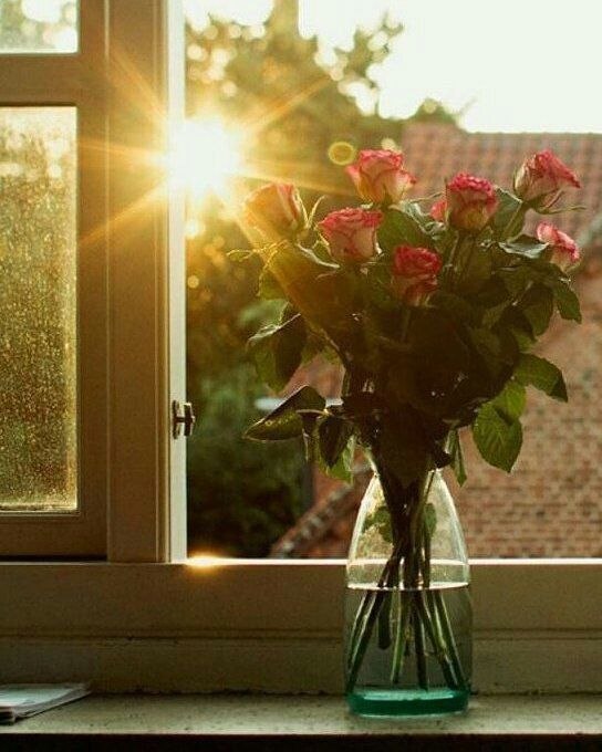 نقطه سر خط: سلامصبح بخیرخدایا...امروز،دل‌های خسته را آرامدست‌های خالی را پرچشم‌های منتظر را خندان و خانه‌هایدوستانم را سرشار از خیر 