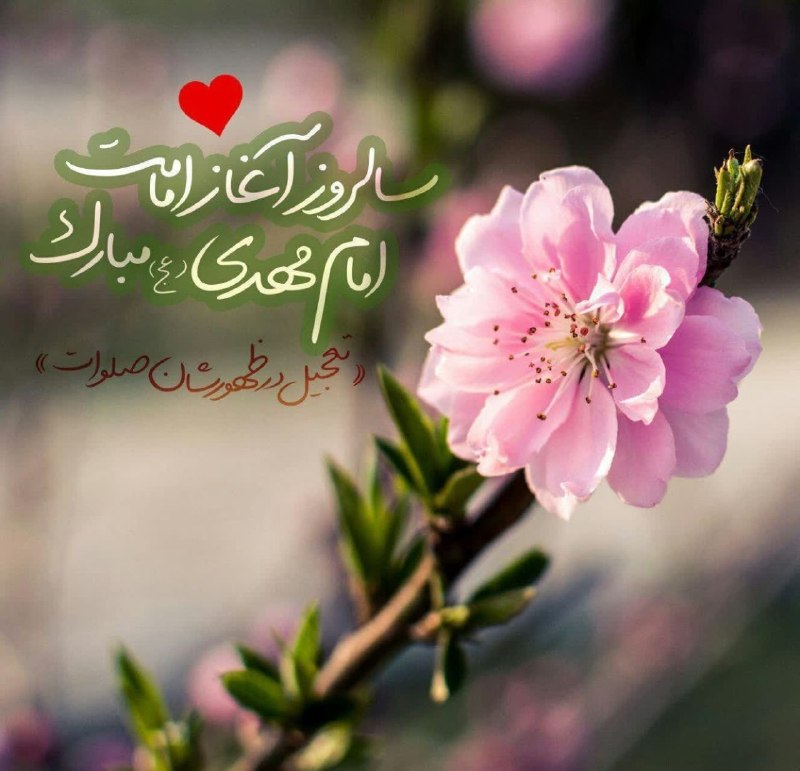 کانال آسیابسر: تسبیح زمین و آسمان یا مهدیذکر همهی فرشتگان یا مهدیحالا که رسیده روز بیعت با عشقلبیک بگو: از دل و جان یا مهدی#دعای_فرج_ه
