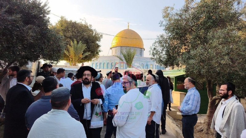 ביום הבחירות "ישראל א" פורצים עשרות מתנחלים קולוניאליים לחצרות מסגד אל-אקצא בירושלים , בניגוד לרגשותיהם של…