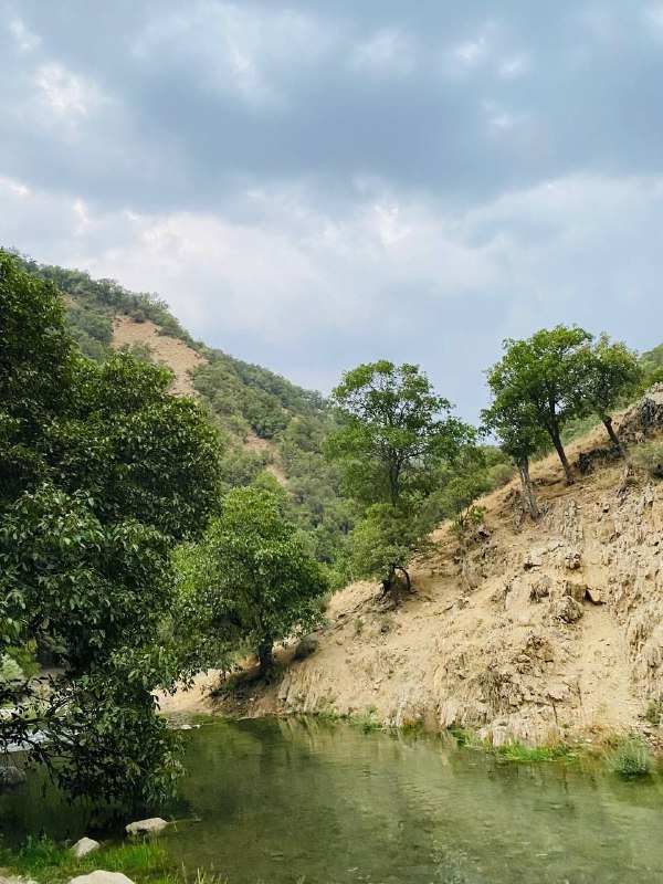 PiranshahrRudaw: 🌱امروز پنجشنبه🔹۲۹ مرداد ۱۴۰۵ هجری شمسی🔹۲۹ی گەلاوێژی ۲۷۲۶ کوردی 🔹۲۰ آگوست ۲۰۲۶ میلادی عکس: طبیعت پیرانشهرعکاس: سید مسعود