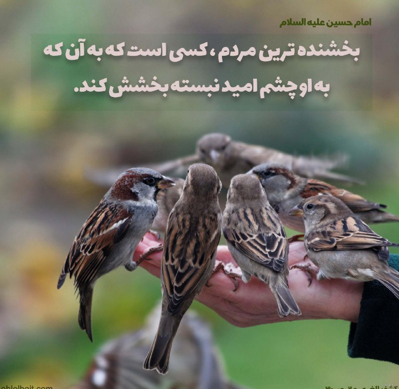 کانال مشرق: 📸#حدیث_روز🌸🗓امروز پنجشنبه:۲۹ مرداد ۱۴۰۵۷ ربیع الاول ۱۴۴۸۲۰ اوت ۲۰۲۶📿ذکر روز:لا إِلهَ إِلَّا اللَّهُ المَلِک الحقّ المُبی