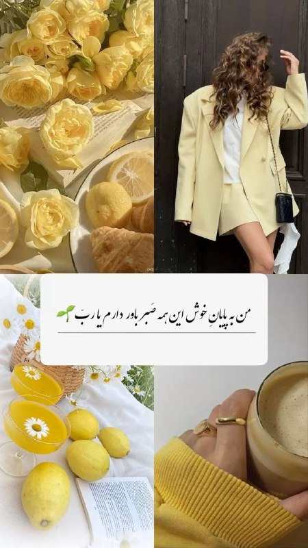 • زرد خواهم مآند💛 •: 🌻౨ৎ ⋆𝗚𝗶𝗿𝗹💛 ݁ ᧔࿔ @ZRD_CHNL ᧓