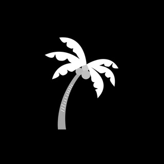 🌴 Miami Leads 🌴