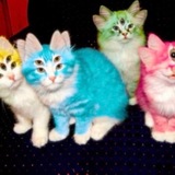 Розовый творог