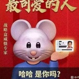 碳水王中王