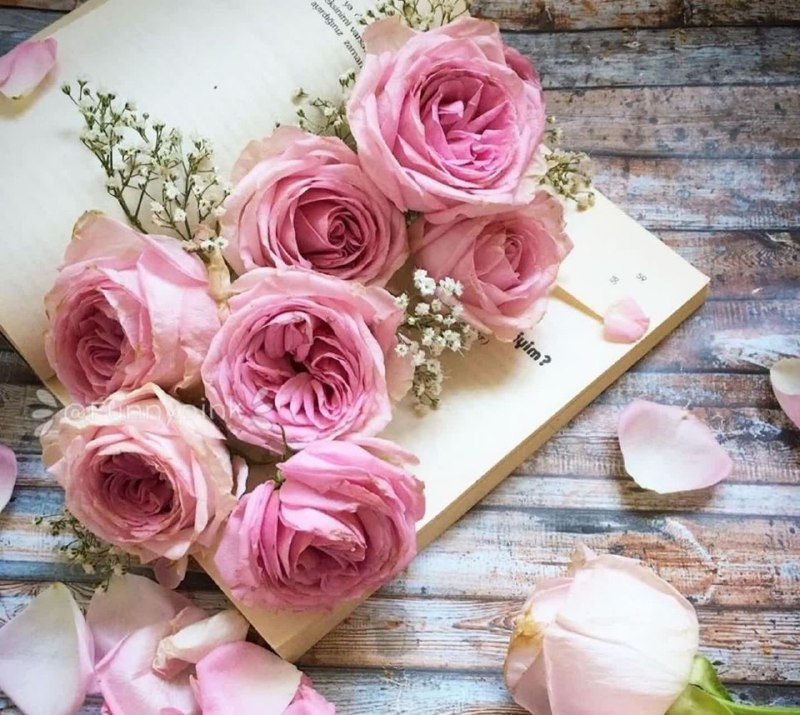 Tɧҽ Եoωη oԲ şԵiςӄeŗş: ✿༄❀🤍❀༄✿به پختگی که برسی میفهمی خیلی جاها نباید جواب بدهی و نباید به هر دلیلی وارد نبرد با آدمها شوی.به پختگی که برسی م