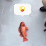 🌊ฅ^•ﻌ•^ฅ🫧 | топята