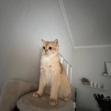 подслушано ៸៸ 𝐌𝐘𝐑 ׅ 𝐭𝐢𝐥𝐥𝐞 “᭡ ⊹