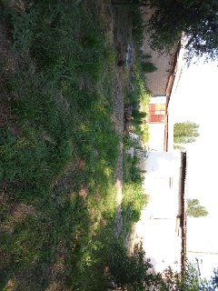 Yuqori Chirchiq Baliqchi  xovli sotladi