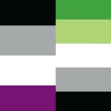 Asexuality and Aromanticism on Reddit
