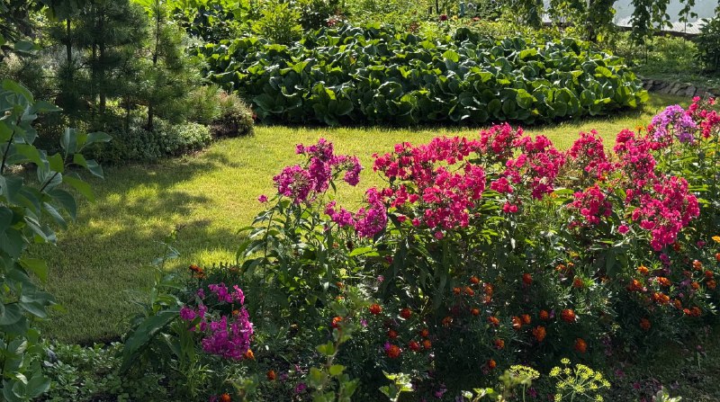 Уехала к бабушке за воспоминаниями из детстваВажная часть жизни, которую я отодвинула в сторону на многие годы — лет 10. Сама себя наказала, отказавшись от такой красоты 😍Уехала к бабушке за воспоминаниями из детстваВажная часть жизни, которую я отодвинула в сторону на многие годы — лет 10. Сама себя наказала, отказавшись от такой красоты 😍