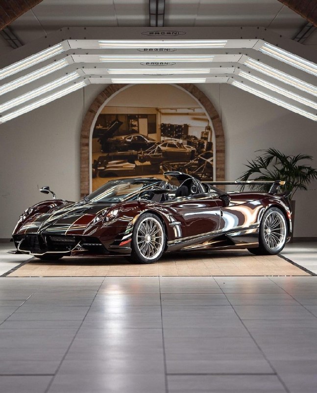 Pagani Huayra Dinamica EVO! 9