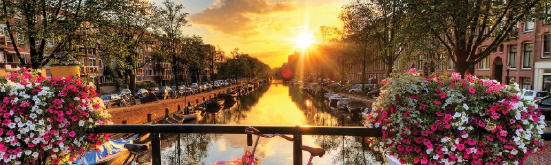 优惠 | Qatar Airways