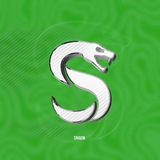 SNAKE TEAM