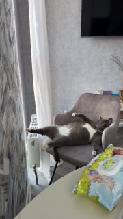 видео