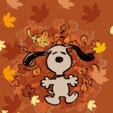 ִ ࣪ 𝖤𝗌𝗍𝖺𝖼𝗂𝗈́𝗇 𝖹𝗂 🍁