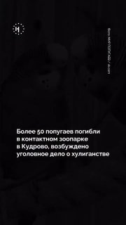😭 Более 50 попугаев погибли в контактном зоопарке в Кудрово после отравления неизвестным веществом7 апреля в «Мире попугаев» в Ленинградской области, по информации зоопарка, неизвестные отравили попугаев газом.Как сообщает 47news, в этот день две сотрудниц