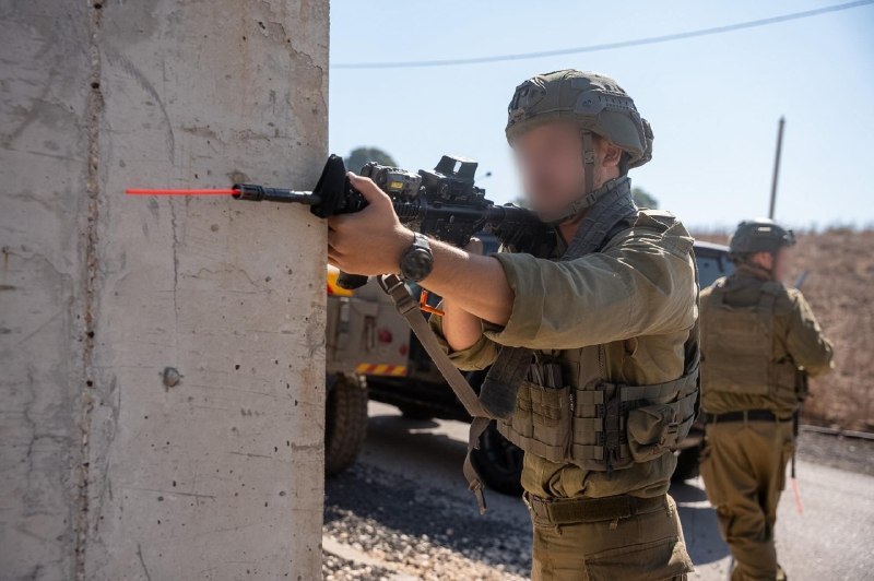 ניצן שפירא