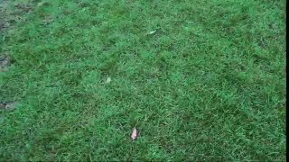 Du'a to relieve sadness |