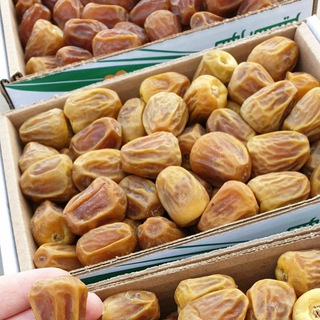 قروب تمور القصيم Qassim Dates