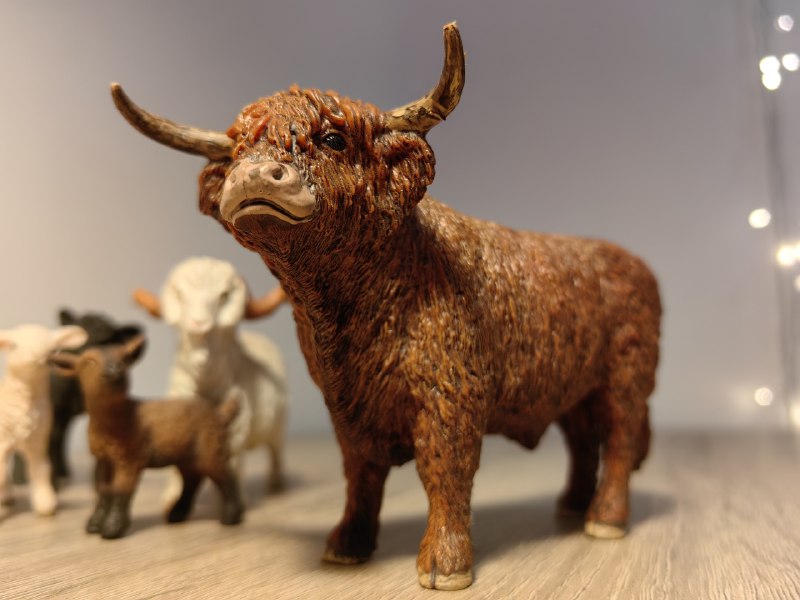 Рогатый скот и коллекционные фигурки Schleich — фото 1