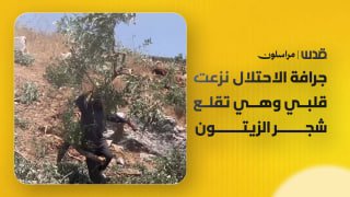 רשת חדשות ירושלים