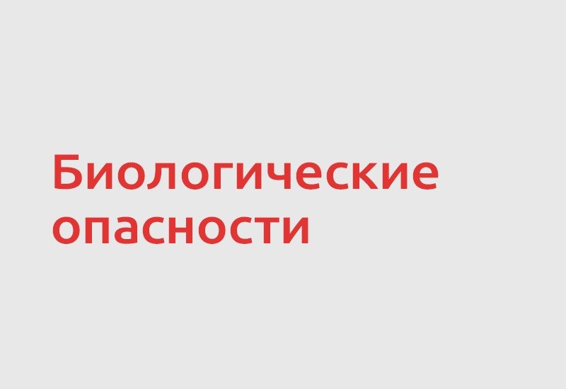 Бактерии, вирусы, плесени и паразиты остаются одними из главных биологических опасных факторов на пищевом производстве. Именно…