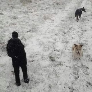 Перерыв на мозгозарядку — отвлекитесь от работы на минутку на нашу оптическую загадку. Что вы видите на фото? Мужчину и двух собак? А если подумать? Пишите свои варианты в чат. Ответ смотрим в нашем MAX.