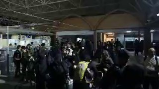 🎦 ליווי עולי רגל במסעות ארבאין