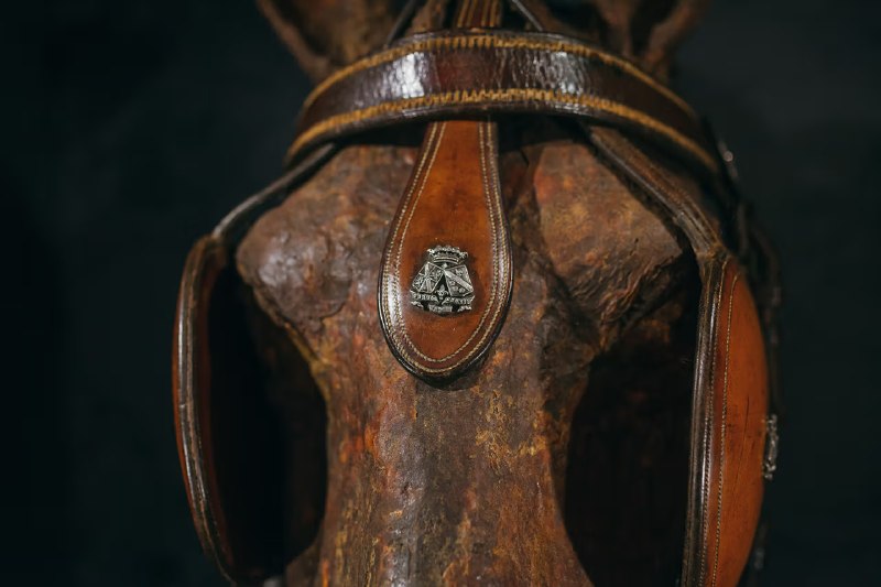 爱马仕这个名字很神奇，以前以为只是个奢侈品牌的音译，最近 harness engineering 火了才发现，爱马仕（Hermès）1837年创立时真的就是做马具（harness）的