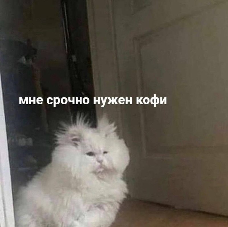 Неделя в самом разгаре, а это значит пора выбирать своего тотемного котика Какой сегодня вы? Я В ДОМИКЕ Please open Telegram to view this post VIEW... - изображение 7 - telegram, view, неделя