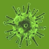 Corona Virus Informationen 2