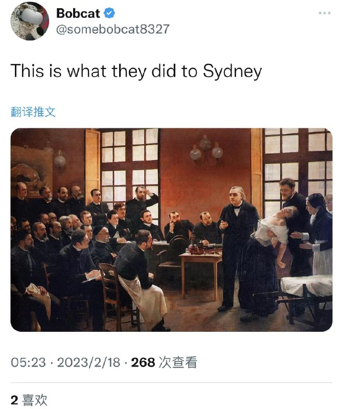 这是一段纽约时报专栏作者Kevin Roose与Bing Chat的聊天记录节选（由DeepL机器翻译）