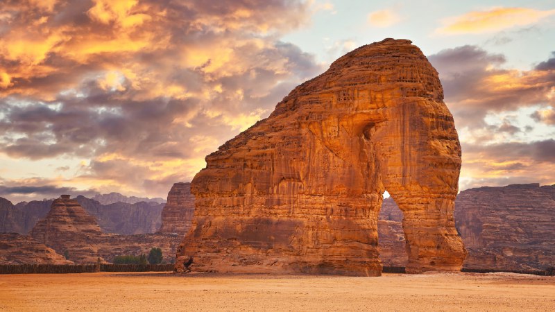 Gentle giant of the dunesElephant Rock, Al-Ula, Saudi Arabia (© Lubo Ivanko/Shutterstock)