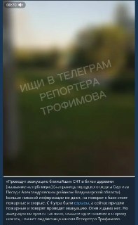 t.me