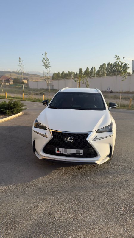 Lexus NX200t 2017