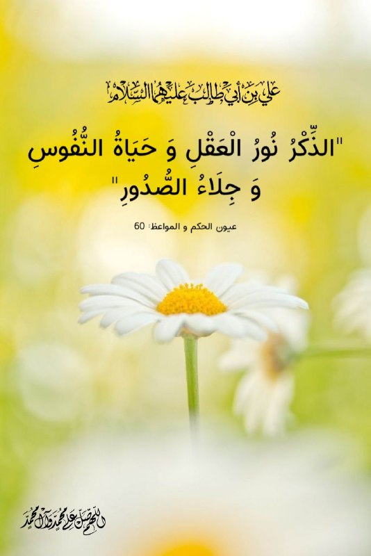 قناه السيده لبابه زوجه العباس (عليهما السلام ): ﷽ #الحكمة_الصباحيةروي عن أمير المؤمنين علي عليه السلام: "الذِّكْرُ نُورُ الْعَقْلِ وَ حَيَاةُ النُّفُوسِ وَ جِلَاءُ الصّ