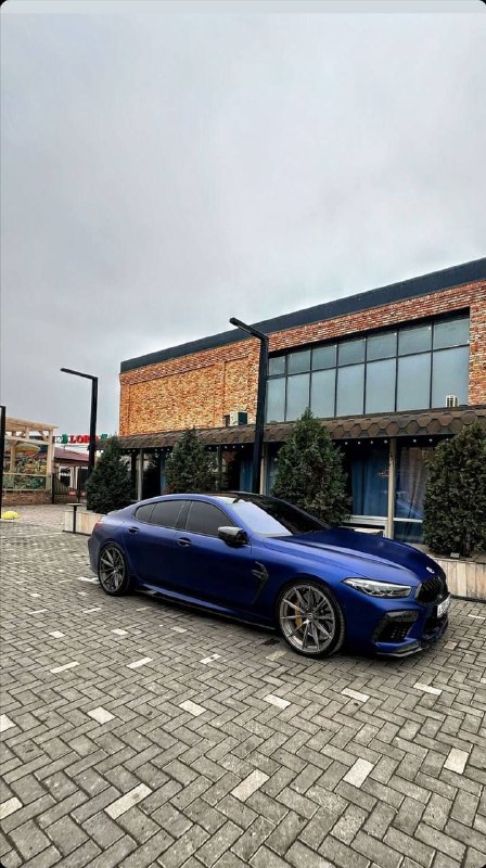 https://t.me/bmw_mpower_club
