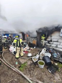 Около 200 чихуахуа погибли в пожаре на Воронихина в Нижнем. Во дворе частного дома загорелась пристройка, предназначенная для разведения собак.❤ Если не загружаются видео и фото, наши новости есть в MAX