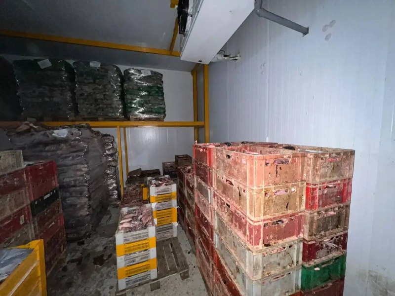 ⚡️ УФСБ России по Республике Дагестан во взаимодействии с МВД по Республике Дагестан пресечена противоправная деятельность лица, причастного к незаконн фото