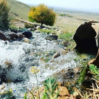 "🌴شیخ مرجان سسی 🌴"