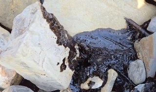 Пляжи в 10 километрах от Туапсе оказались завалены мазутомЖители кубанского села Агой обратились в местные СМИ с жалобой, что береговая линия Черного моря в 10 километрах от Туапсе загрязнена мазутом. Об этом пишет «Ветер» со ссылкой на главреда издания «Т