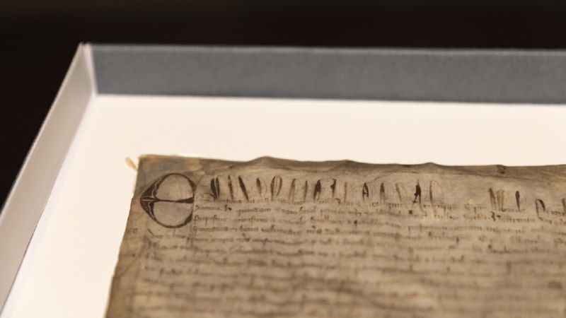 Harvard thought it had a cheap copy of the Magna Carta. It turned out to be extremely rare