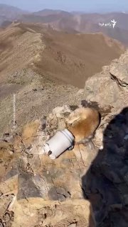 The video posted on social media shows the efforts of a group of climbers to save a fox whose head is stuck in a plastic container.