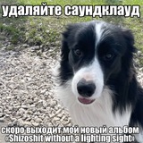 завтрак Зверя