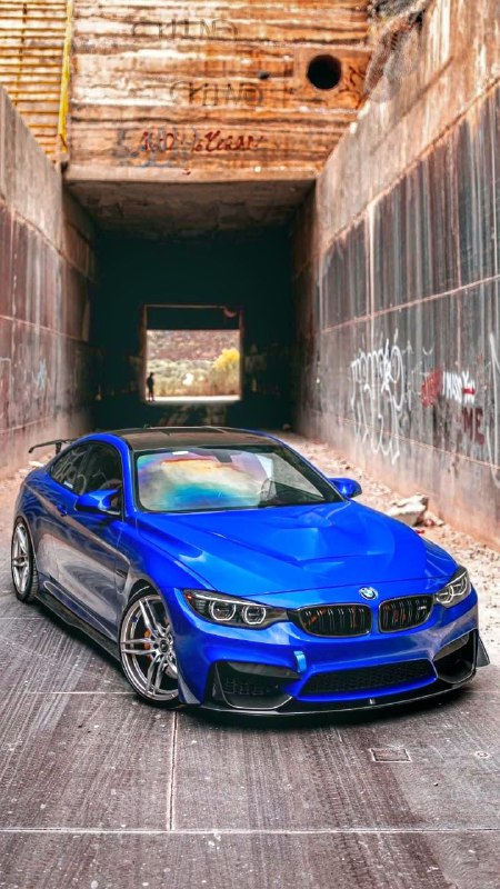 https://t.me/bmw_mpower_club