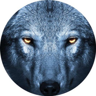 POWER Wolfpack Team