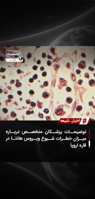 SHIAWAVES اخبار شیعه: توضیحات پزشکان متخصص درباره میزان خطرات شیوع ویروس هانتا در قاره اروپاجان باختن سه نفر از سرنشینان یک کشتی تفریحی در آب